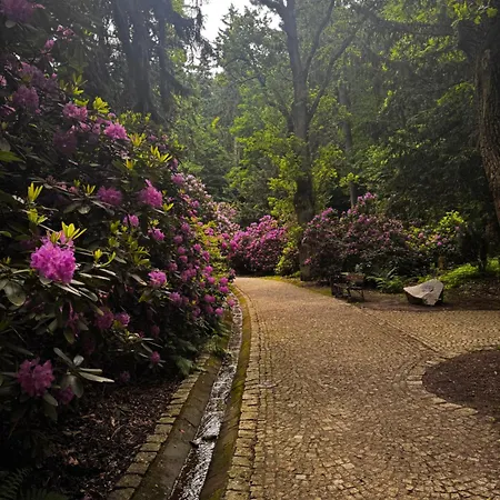 Chelmiec Przy Szczawnie-zdroj Apartment Waldenburg