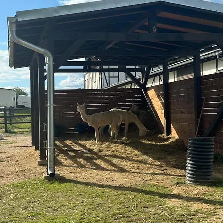 Chelmiec Przy Szczawnie-zdroj Apartment Waldenburg