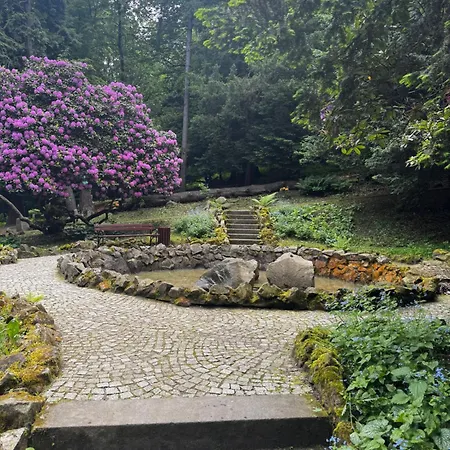 Chelmiec Przy Szczawnie-zdroj Apartment Waldenburg