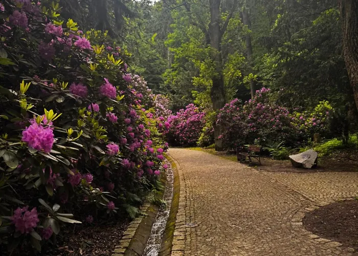 Chelmiec Przy Szczawnie-zdroj Apartment Waldenburg