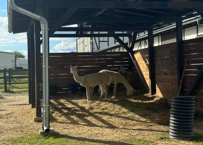 Chelmiec Przy Szczawnie-zdroj Apartment Waldenburg