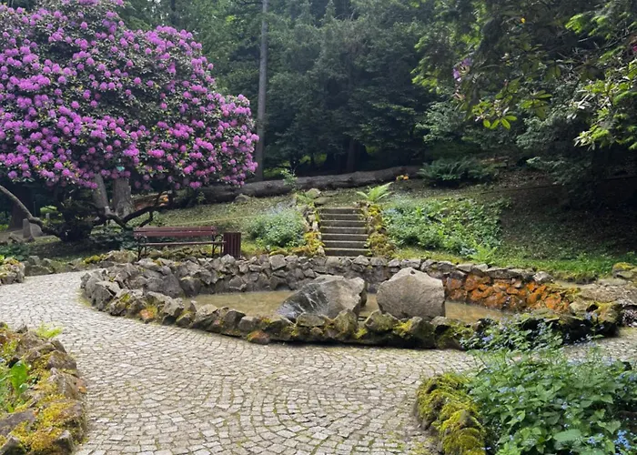 Chełmiec Przy Szczawnie-zdrój Apartamento Wałbrzych